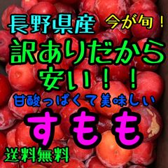 お得！家庭用プラム約10kg 長野県産すもも　クール便送料無料