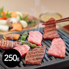 岐阜 「ＪＡひだ」 飛騨牛もも焼肉用 250g