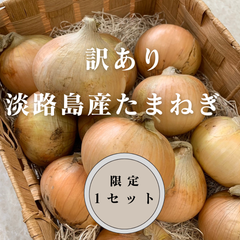 訳あり　淡路島産たまねぎ　「うれったま」3ｋｇ＋α