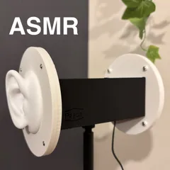 ぱすかる出品 ASMR マイク 2025年最新】ぱすかるマイクの人気アイテム - メルカリ