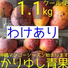 沖縄産ミニマンゴー約6kg(クール発送) 沖縄産 おすすめミニマンゴー (約6kg)クール発送