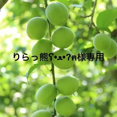 りらっ熊ʕ•ﻌ•ʔฅ‎様専用