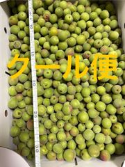 小梅 Sサイズ 箱込2.2キロ程度 福島県産