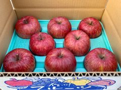 信州産「赤田の家」サンふじ　8個入り3k箱