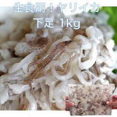 【送料無料】お刺身 やりいか 下足 端材 1kg 切り落とし ゲソ 業務用 回転 手巻き 寿司 ネタ 海鮮 丼 冷凍 通販 お得 人気 お買い得 ヤリイカ 烏賊 刺身 煮付け げそ