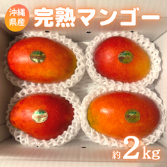完熟マンゴー／沖縄県産