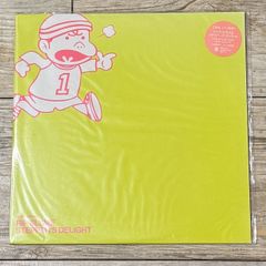 RIP SLYME //STEPPER'S DELIGHT/10インチレコード リップスライム
