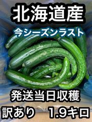 さいか農園 - メルカリShops 