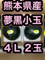 北海道沖縄離島追加送料無し　熊本県産すいか　夢黒小玉西瓜　4Lサイズ2玉