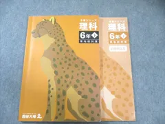 四谷大塚 小6 予習シリーズ 理科 下 有名校対策 2024 015S2C