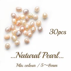 Item thumbnail for item 09f7c280-2aa8-4e5c-a739-df4be5253a1e