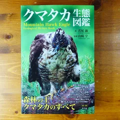 ※ちいちゃん　エボシクマタカの剥製(雄成鳥)※壁掛け式 Amazon.co.jp: 大型 木製 台座付 置き物 鷹 タカ 猛禽類 の 剥製