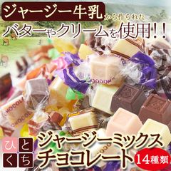 【お徳用】ジャージーミックスひとくちチョコレート300gSM00010650