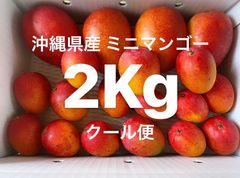 沖縄県産、産地直送【完熟ミニマンゴー(中玉、小玉あり)】2Kg(20個前後)