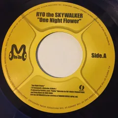 Ryo the Skywalker /FREE 7インチレコードセット Ryo the Skywalker /FREE 7インチレコードセット FREE / /RYO