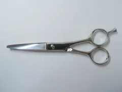 2024年最新】ミズタニシザーの人気アイテム - メルカリ 