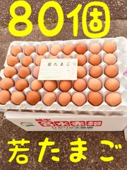新米6年産25kg 卵屋さんのコシヒカリ - メルカリ