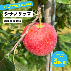 8月16日から8月31日発送 指定不可「シナノリップ3キロ箱A品B品ミックス」 農林水産大臣賞 長野県産 安曇野 信州産 産地直送
