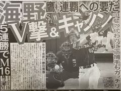 ◉台湾産【白珊瑚/ホワイトコーラル】原木[8G20 - メルカリ