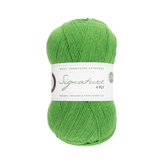 WYS 4ply Signature 「Chocolate Lime」