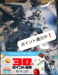 MG 1/100 シン・マツナガ専用ザクII