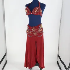 【ベリーダンス用 オリエンタル衣装】ワインレッド ラインストーン 赤 シルバー 水色 ラメ 華やか 可愛い オシャレ スリット トップス セット 大人っぽい スリム ファスナー 伸縮性無し キラキラ おしゃれ