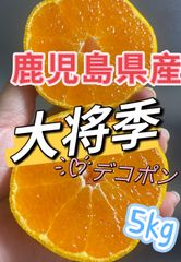 鹿児島県産　大将季　デコポン　箱込み5kg みかん　柑橘