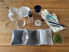 初心者向け。開けてすぐ作れる！苔テラリウム制作キット 有福MOSS