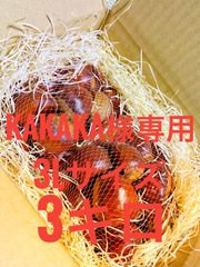 茨城県【笠間産】3Lサイズ　3キロ