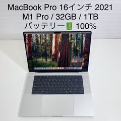 MacBook Pro 16インチ 2021 / Apple M1 Pro / 32GB / 1TB