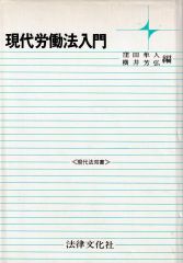 現代労働法入門（現代法双書）