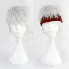 カリム　完成ウィッグ　セット済み　コスプレ Amazon.co.jp: ツイステッドワンダーランド コスプレ カリム