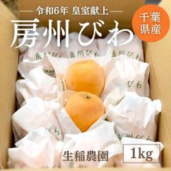 びわ 【生稲農園】 房州びわ 1kg 12～15個 サイズ色々 枇杷 皇室献上の実績 父の日 千葉県南房総市《5/中旬～5/下旬より出荷》