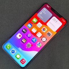 SIMロック解除済 iPhone Xs Max 256GB スペースグレイ MT6U2J/A