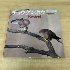○01)【同梱不可】【未開封】SUNSHINE MOONLIGHT/TOSHI KUBOTA