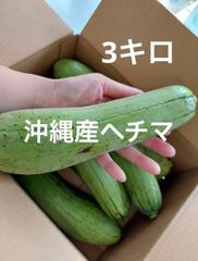 shop限定価格！大好評　沖縄産ヘチマ　3キロ  糸瓜