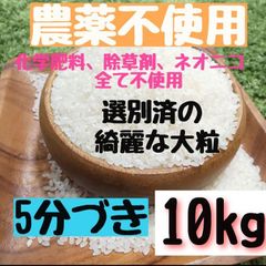 農薬不使用  ヒノヒカリ 5分づき  10kg  白米