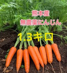 熊本産無農薬にんじん1.3キロ