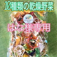 【はな様専用】10種類の乾燥野菜100g