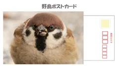 2024年最新】野鳥ポストカードの人気アイテム - メルカリ