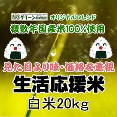 新米 20kg 送料無料 生活応援米 白米 安いお米 人気 お得 特価 売れ筋