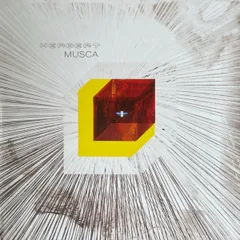英2LP Matthew Herbert Musca AC165C1 Accidental /00520