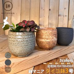 HATIMANIA 鉢マニア 金吹 3号 六平 3.5号 尻丸 ラッパ 3.5号 浅