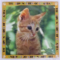 1986年映画「子猫物語」 こどもたちの ジグソーパズル ★激レア‼️ 1986年映画「子猫物語」 こどもたちの ジグソーパズル ☆激レア‼️