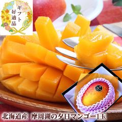 お中元 夏ギフト 完熟マンゴー 北海道のマンゴー [摩周湖の夕日1玉]