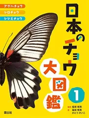 2024年最新】アゲハ蝶の幼虫の人気アイテム - メルカリ