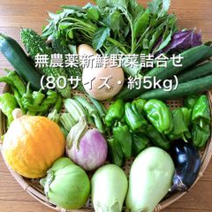 無農薬新鮮野菜詰合せ（80サイズ・約5Kg）