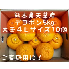 2025年最新】デコポン 訳あり10kgの人気アイテム - メルカリ