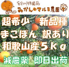401長崎産　超希少みかん　マコポン　家庭用果実約8㎏ 長崎の夢」長崎 みかん | JA長崎せいひ公式オンラインショップ｜長崎県