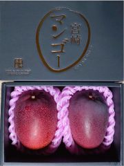 宮崎県産 完熟マンゴー 秀品 3L 2玉 化粧箱入り クール便